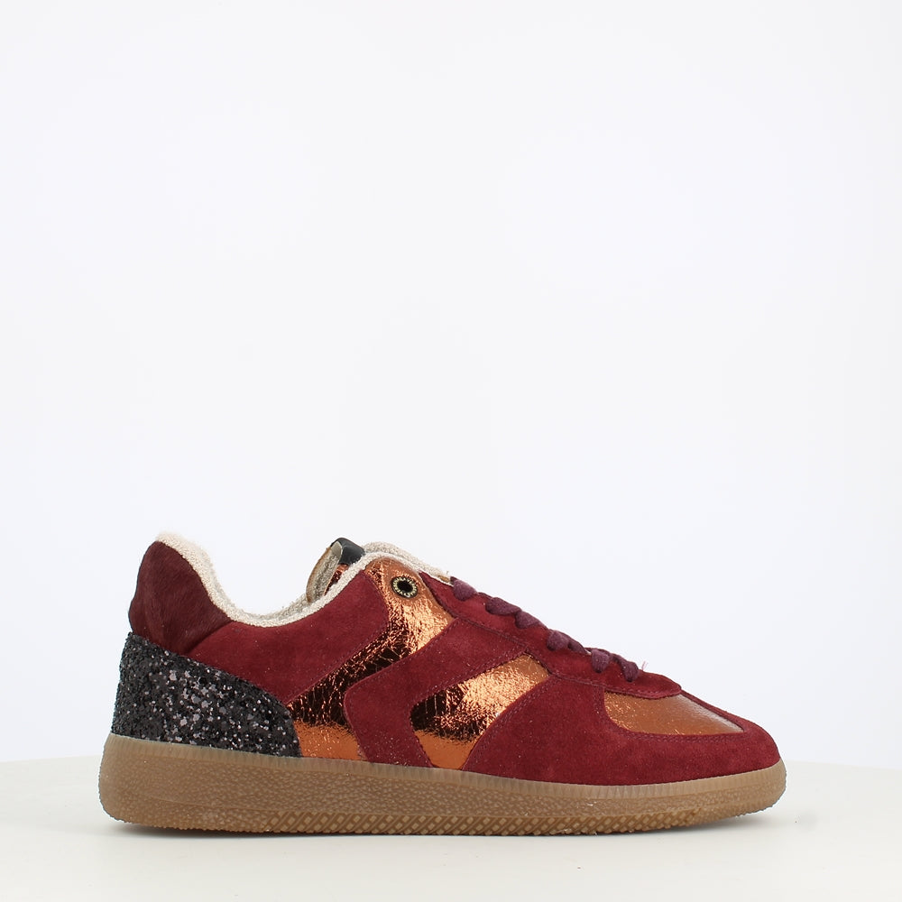 Verbenas Sora Fantasy Burgundy