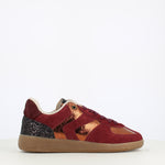 Verbenas Sora Fantasy Burgundy