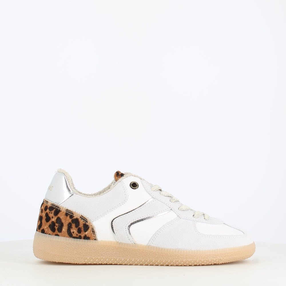 Verbenas Sora Fantasy Wild White